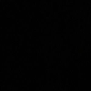 Meet your Posher, Leo